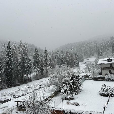 Dolomia Apartments & Spa Dimaro Buitenkant foto